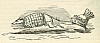 Comic_History_of_Rome_p_134_Tail-piece.jpg
