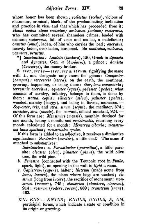 Dictionary%20Of%20Latin%20Synonymes_Page_031%20%5B1280x768%5D.jpg