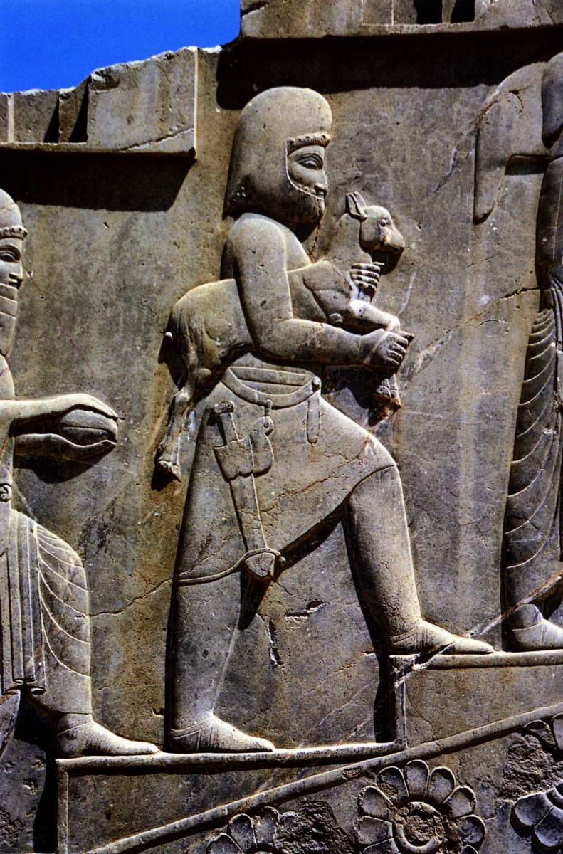 Persepolis%20Mede%20apportant%20un%20animal%20a%20sacrifier.jpg