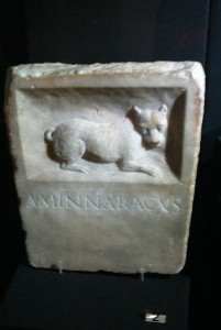 The petrified Muse / Epitaphes canines