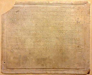 The Petrified Muse / Des poèmes latins sur la tristesse de perdre des enfants