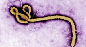 Atlantico / Et si finalement Ebola était une maladie née dans l'Athènes antique d’il y a plus de 2 000 ans ?