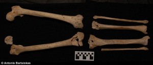 Daily Mail / Des analyses de squelettes confirme qu'on a bien trouvé la tombe de Philippe de Macédoine !