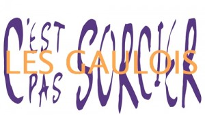 C'est pas Sorcier : Les Gaulois