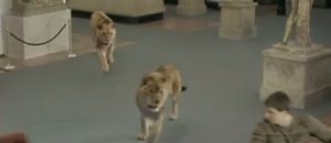 (2006) Rome : la série de Canal+ qui a mangé du lion !
