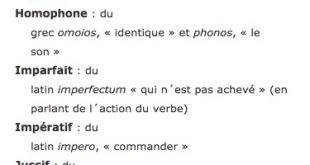 Glossaire étymologique des termes d'analyse littéraire