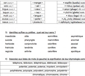Apport des langues anciennes en francais : étymologie gréco-latine