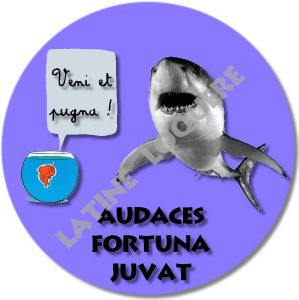 05-audaces-exemple.jpg