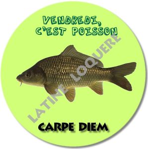 07-carpe-exemple.jpg