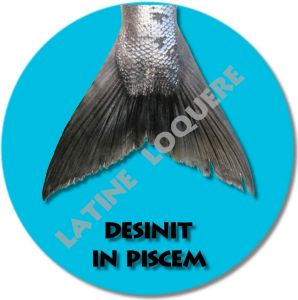 10-desinit-exemple.jpg