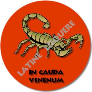 12-incauda2-exemple.jpg