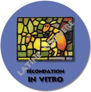 14-invitro-exemple.jpg