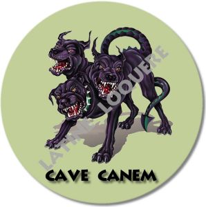 27-cavecanem-exemple.jpg