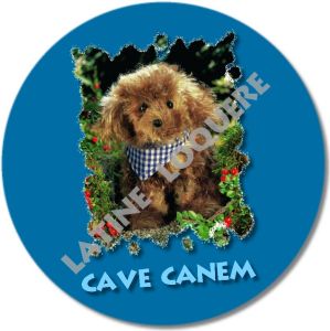 36-cavecanem2(4eme)-exemple.jpg
