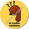 13-incauda-exemple.jpg