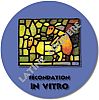 14-invitro-exemple.jpg