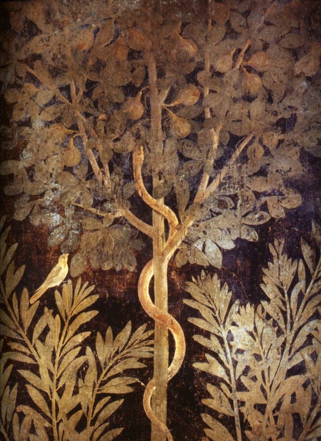 -15%20%2050%20%20Jardin%20imaginaire%20avec%20l%27arbre%20au%20serpent,%20detail%20%20330x204%20cm%20%20IIIe%20Style%20%20Pompei,%20Maison%20du%20Verger.jpg