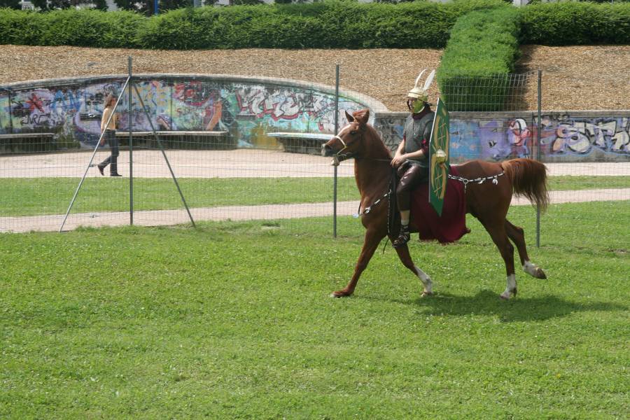 Journees-Gallo-Romaines-2008-CavalerieRomaine-08.jpg