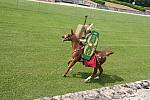 Journees-Gallo-Romaines-2008-CavalerieRomaine-07.jpg