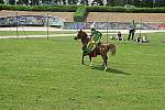 Journees-Gallo-Romaines-2008-CavalerieRomaine-12.jpg