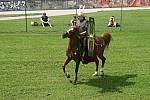 Journees-Gallo-Romaines-2008-CavalerieRomaine-16.jpg