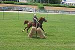 Journees-Gallo-Romaines-2008-CavalerieRomaine-22.jpg