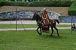 Journees-Gallo-Romaines-2008-CavalerieRomaine-25.jpg