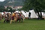 Journees-Gallo-Romaines-2008-Gaulois-02.jpg