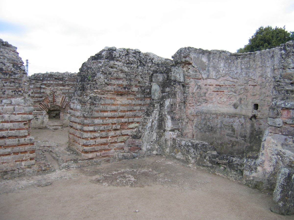 IMG_0086.jpg