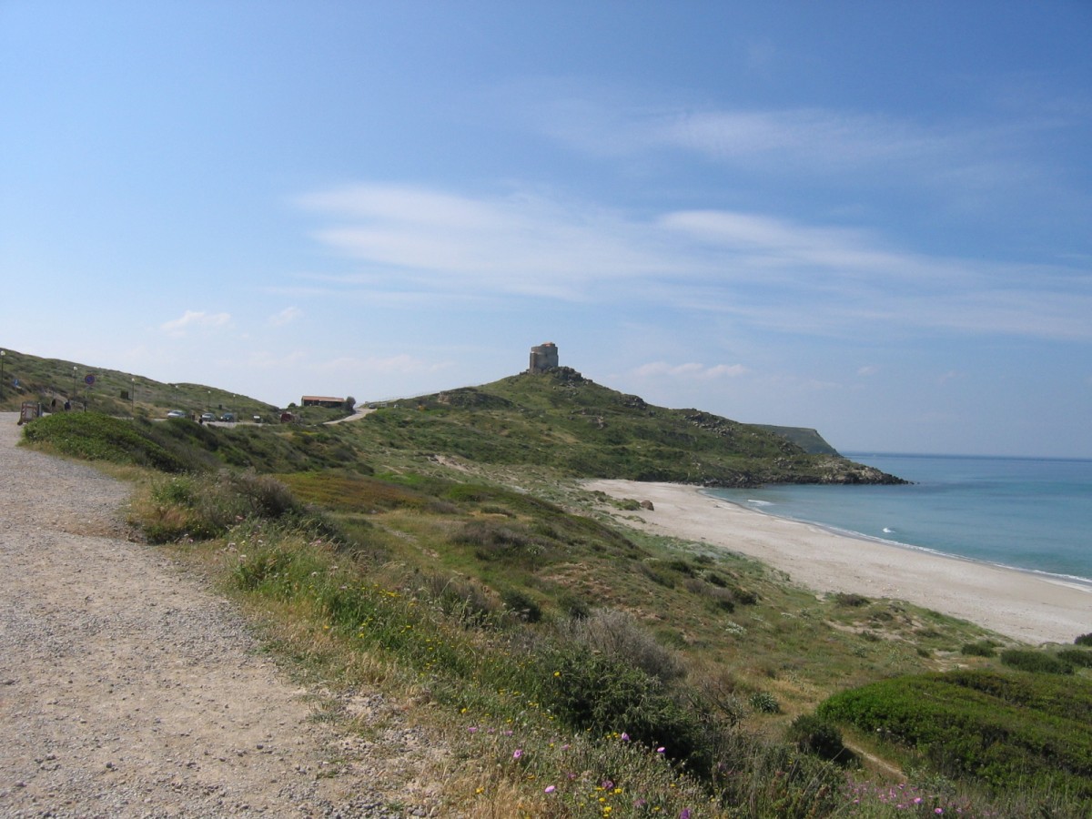 IMG_0460.jpg