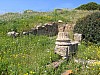 IMG_0029.jpg