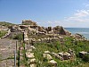 IMG_0030.jpg