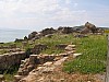 IMG_0033.jpg