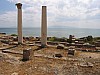 IMG_0035.jpg