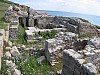 IMG_0043.jpg