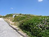 IMG_0055.jpg