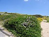IMG_0056.jpg