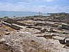IMG_0059.jpg