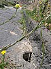 IMG_0060.jpg