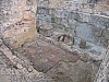 IMG_0088.jpg