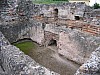 IMG_0089.jpg