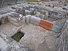 IMG_0099.jpg