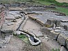 IMG_0100.jpg