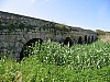 IMG_0333.jpg