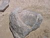IMG_0372.jpg