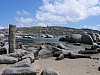 IMG_0374.jpg