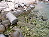 IMG_0381.jpg