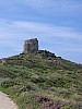 IMG_0461.jpg