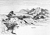 p026#.jpg