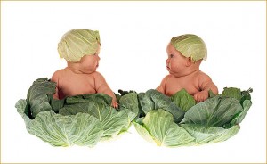 Etymologie des prénoms masculins
